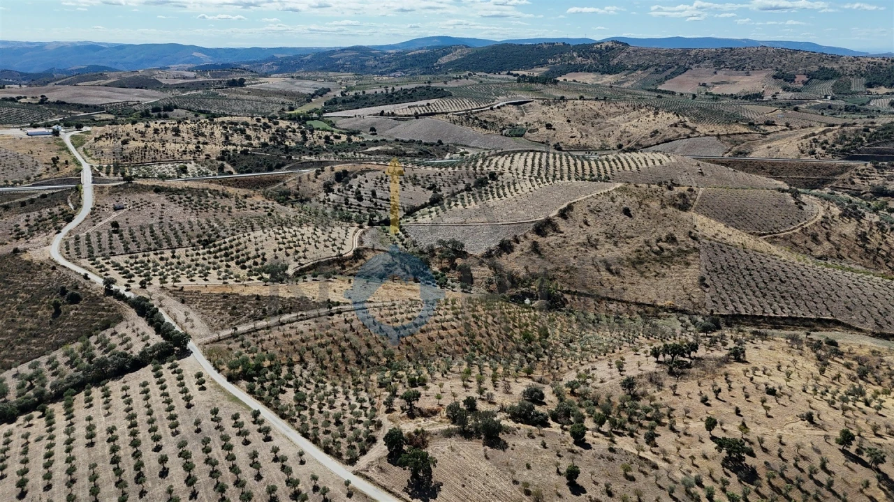 Terreno Agricola ou Rústico para Venda em Eucisia, Gouveia e Valverde Foto 3