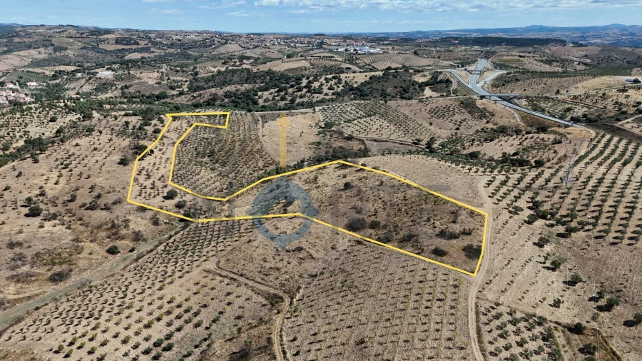 Terreno Agricola ou Rústico para Venda em Eucisia, Gouveia e Valverde
