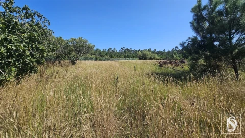 Moradia T3 para Venda em Louriçal