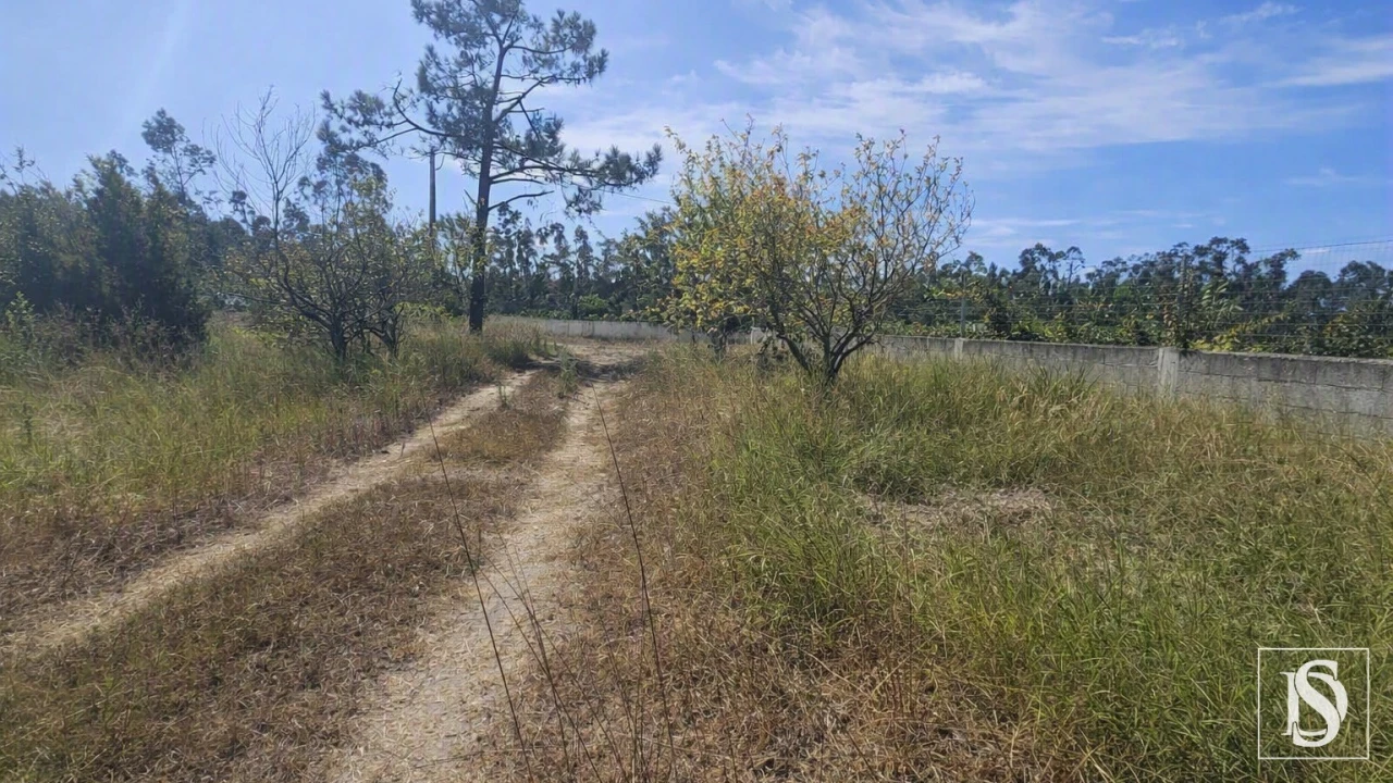 Moradia T3 para Venda em Louriçal Foto 63