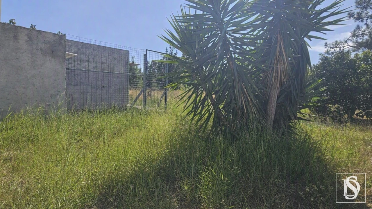 Moradia T3 para Venda em Louriçal Foto 62