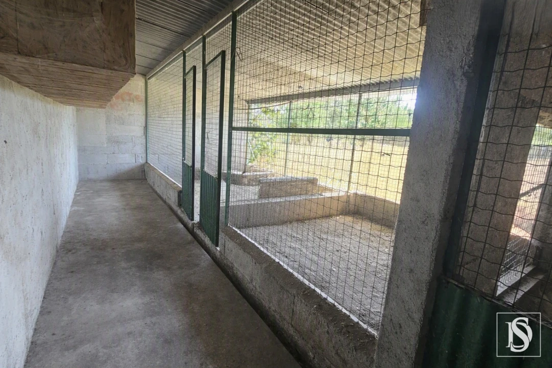 Moradia T3 para Venda em Louriçal Foto 56