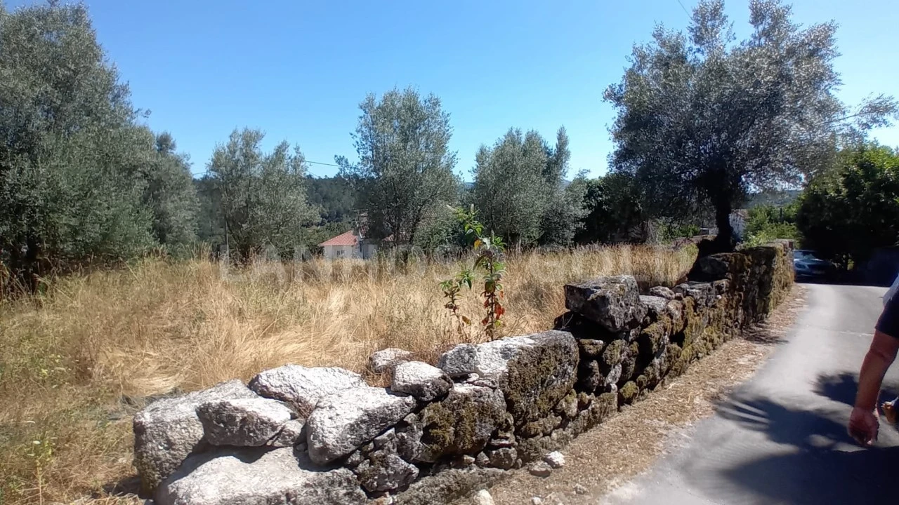 Terreno para Venda em Fonte Arcada e Oliveira Foto 7
