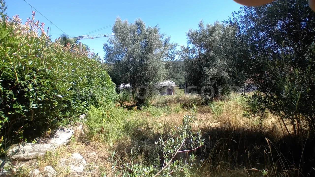 Terreno para Venda em Fonte Arcada e Oliveira Foto 8