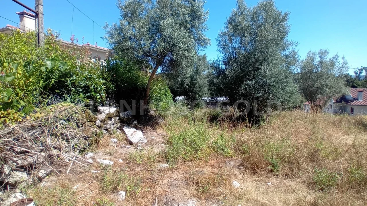 Terreno para Venda em Fonte Arcada e Oliveira Foto 9