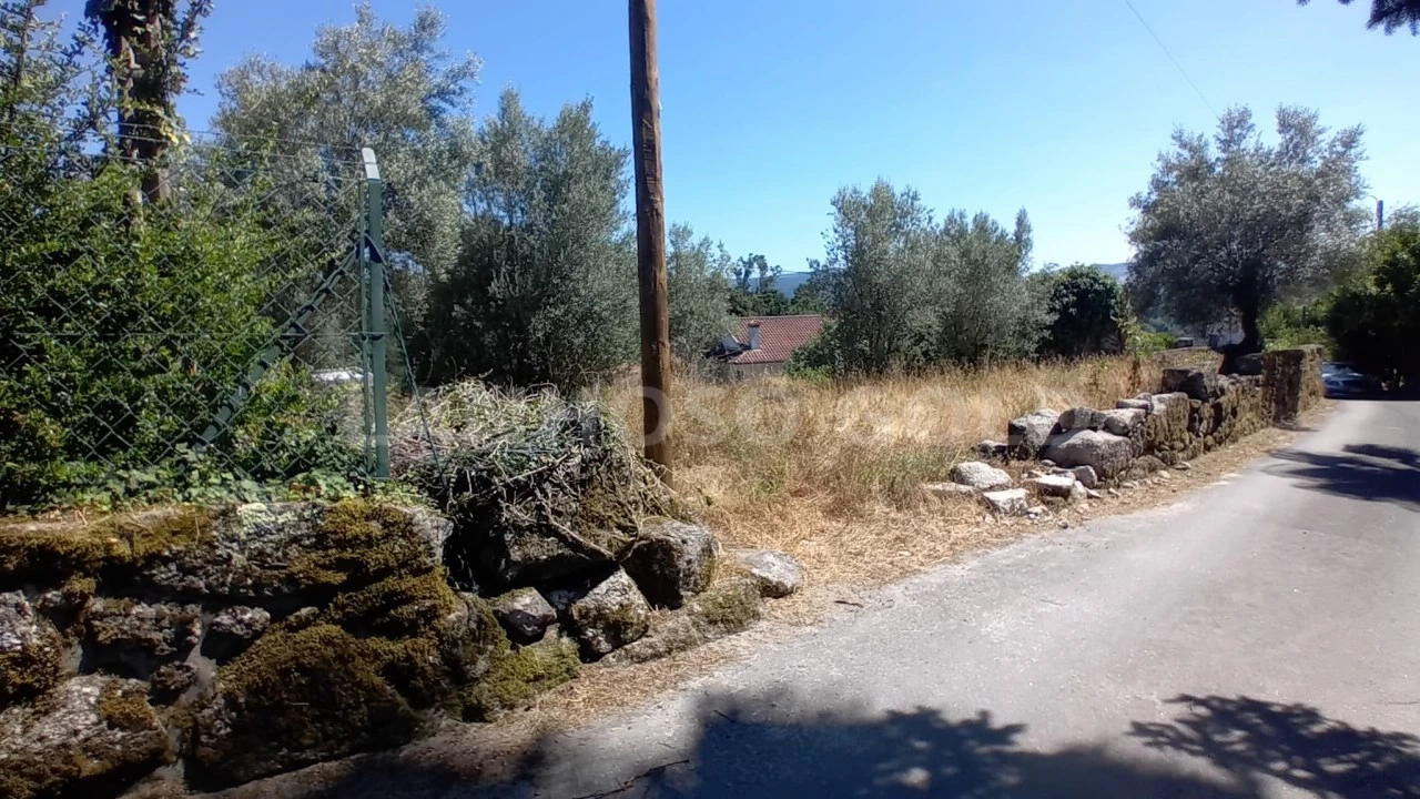 Terreno para Venda em Fonte Arcada e Oliveira Foto 11