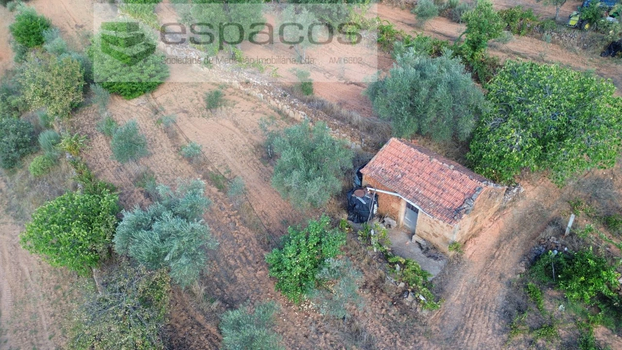Terreno para Venda em Pero Viseu Foto 1