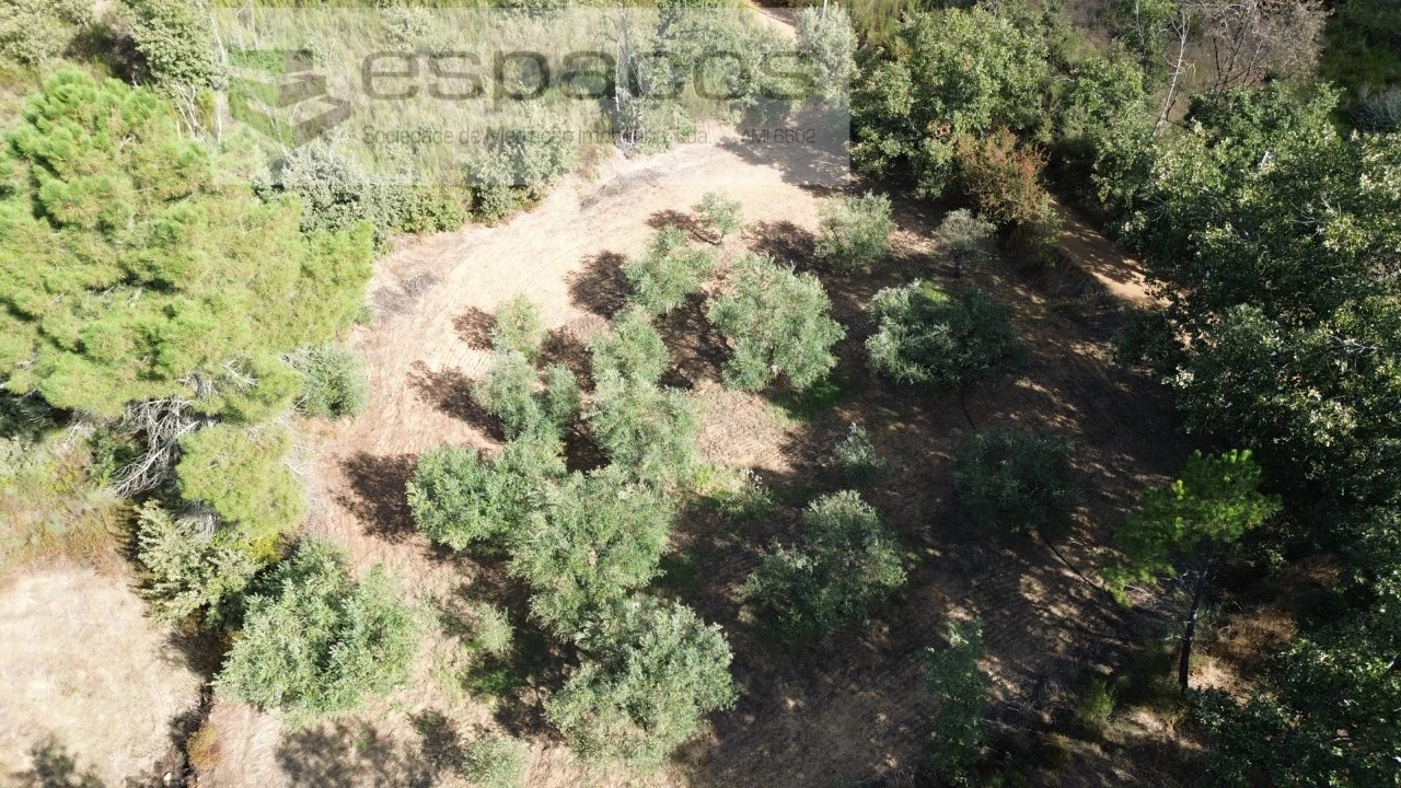 Terreno para Venda em Pero Viseu Foto 11