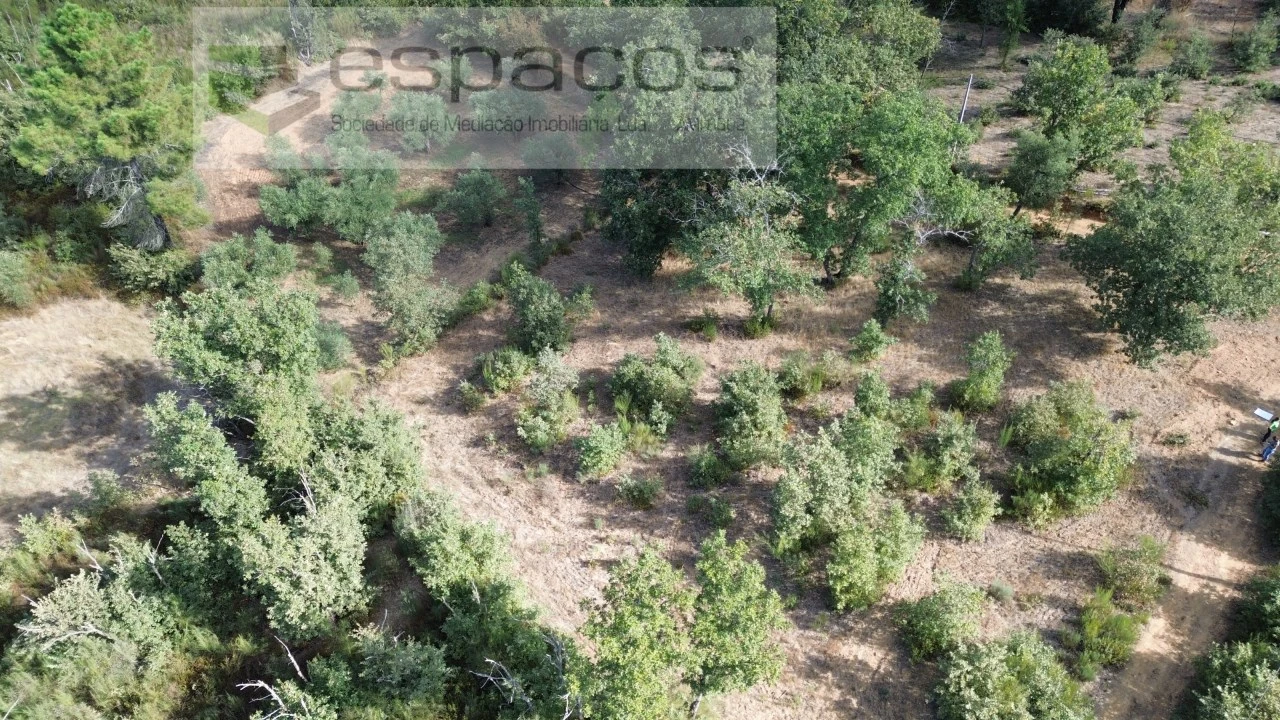 Terreno para Venda em Pero Viseu Foto 12