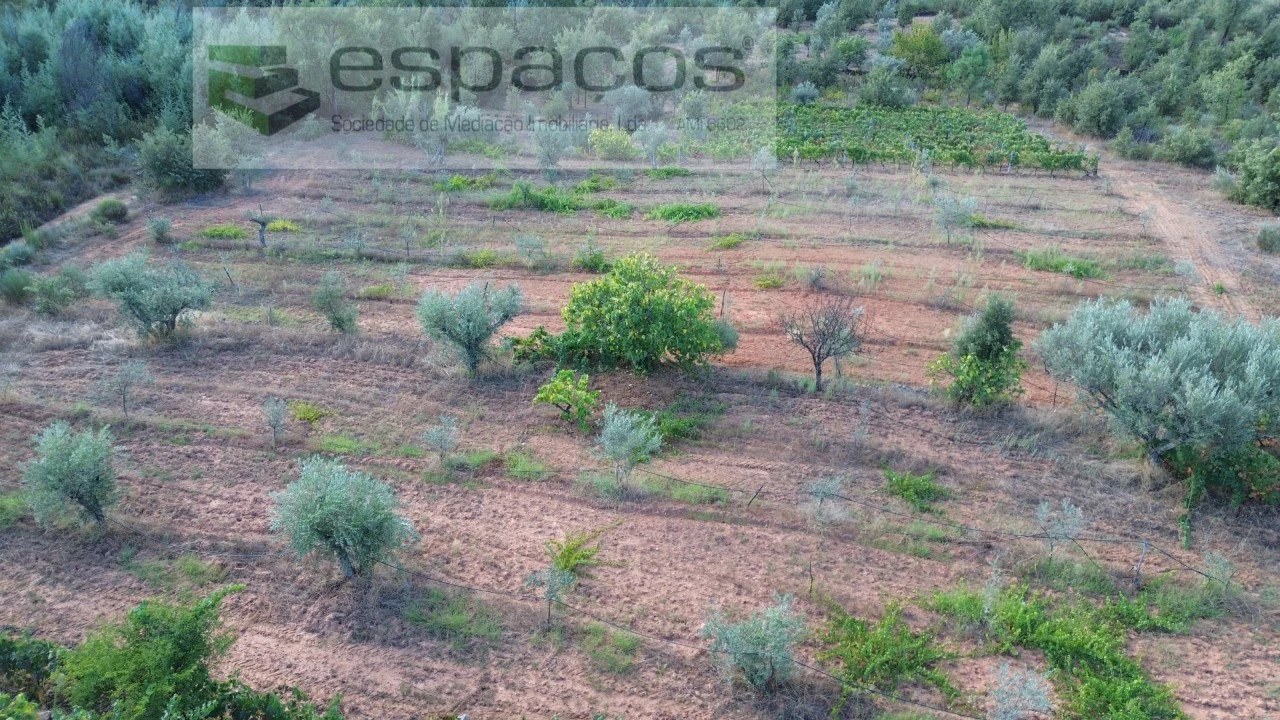 Terreno para Venda em Pero Viseu Foto 10