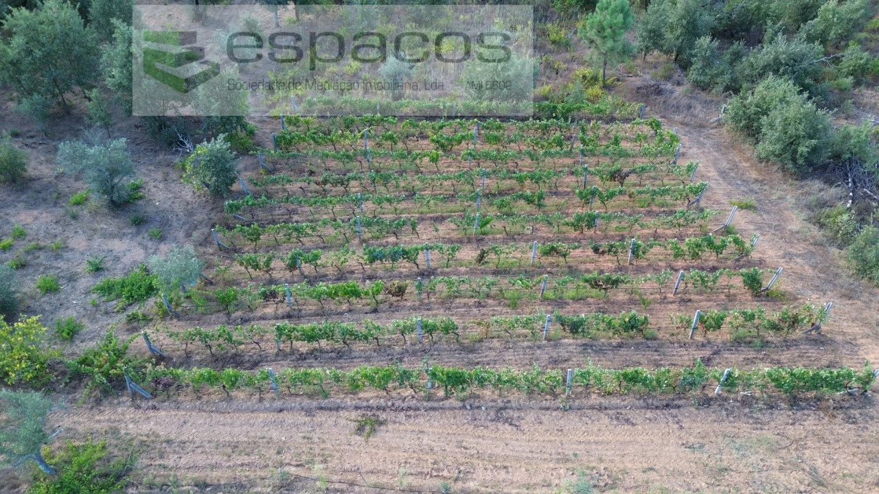 Terreno para Venda em Pero Viseu Foto 6