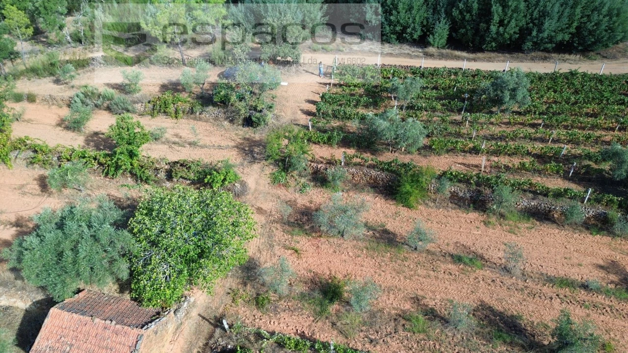 Terreno para Venda em Pero Viseu Foto 4