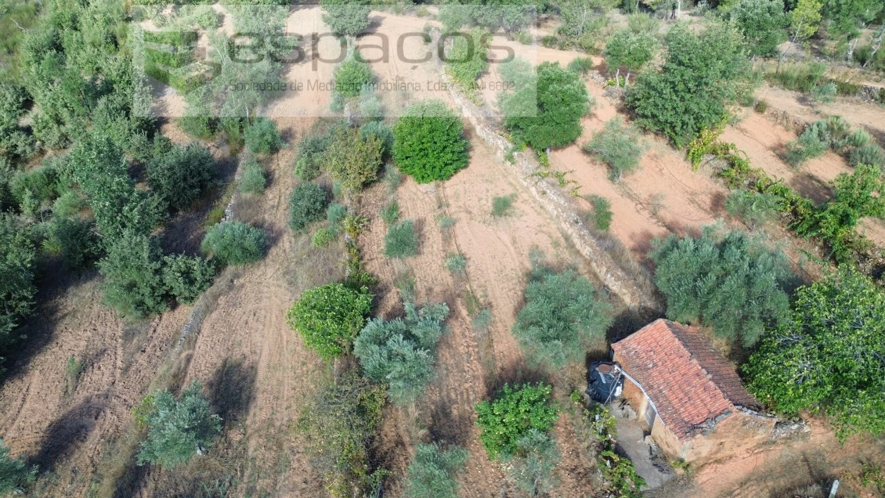 Terreno para Venda em Pero Viseu Foto 13