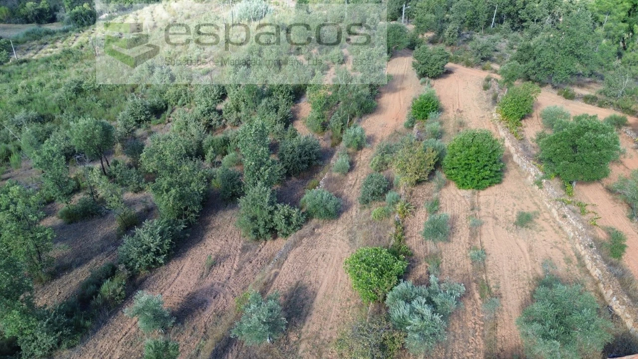 Terreno para Venda em Pero Viseu Foto 14