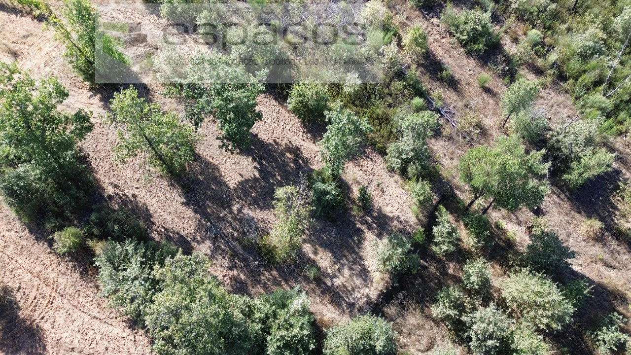 Terreno para Venda em Pero Viseu Foto 15