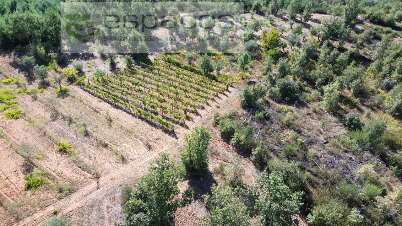 Terreno para Venda em Pero Viseu Foto 7