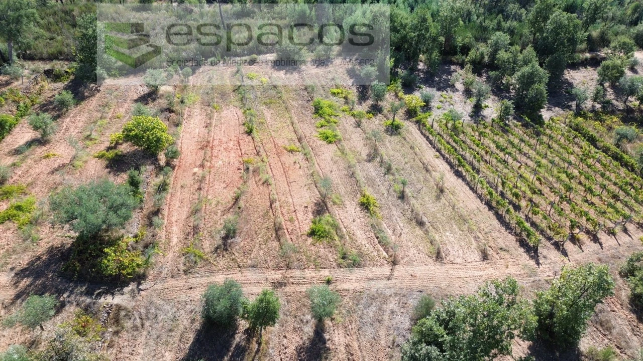 Terreno para Venda em Pero Viseu Foto 8