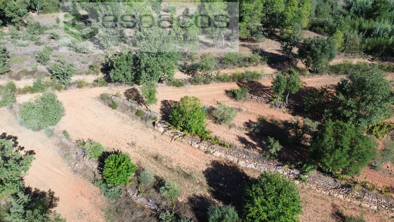 Terreno para Venda em Pero Viseu Foto 16