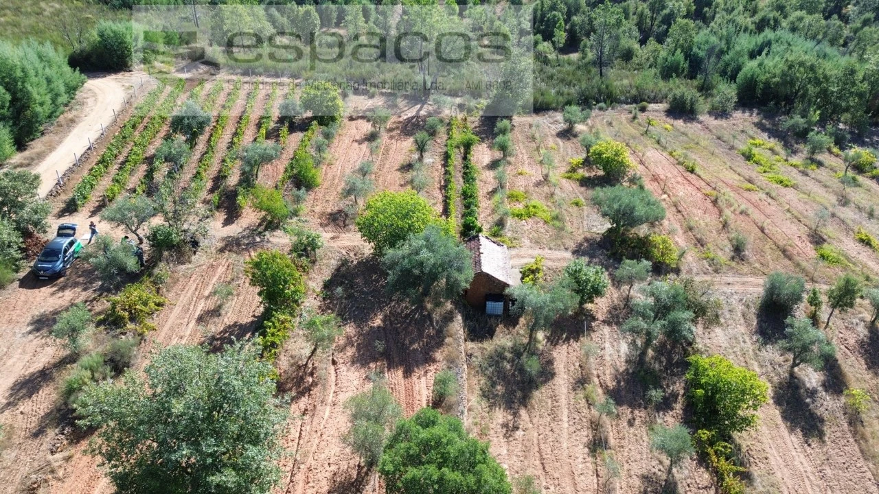 Terreno para Venda em Pero Viseu Foto 9