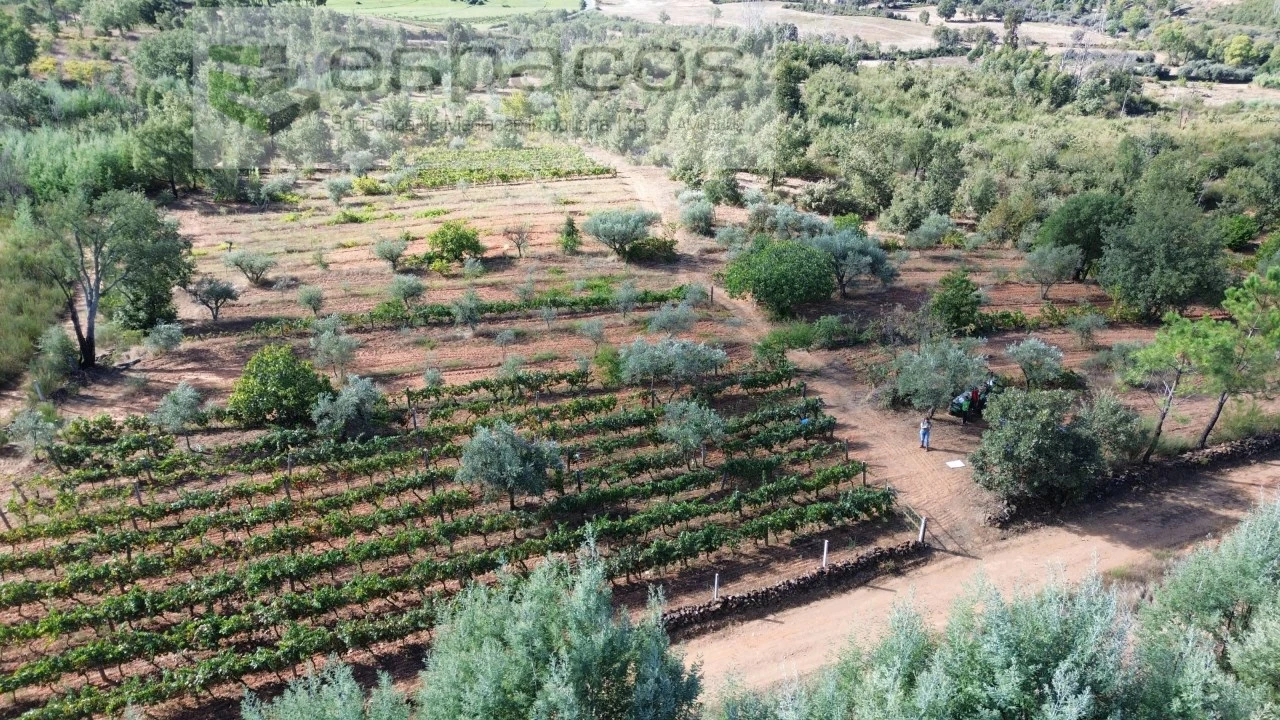 Terreno para Venda em Pero Viseu Foto 5