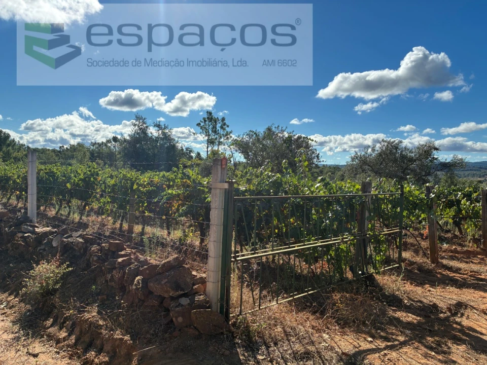 Terreno para Venda em Pero Viseu Foto 18