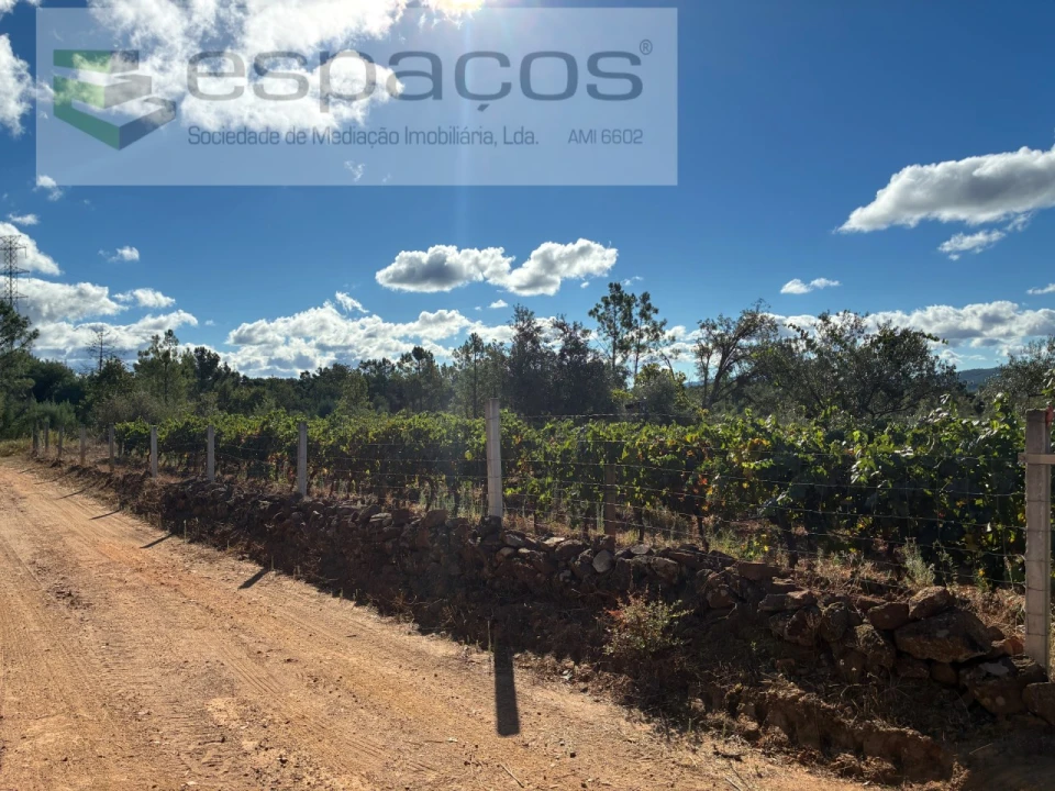 Terreno para Venda em Pero Viseu Foto 19