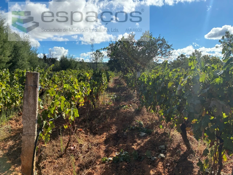 Terreno para Venda em Pero Viseu Foto 20