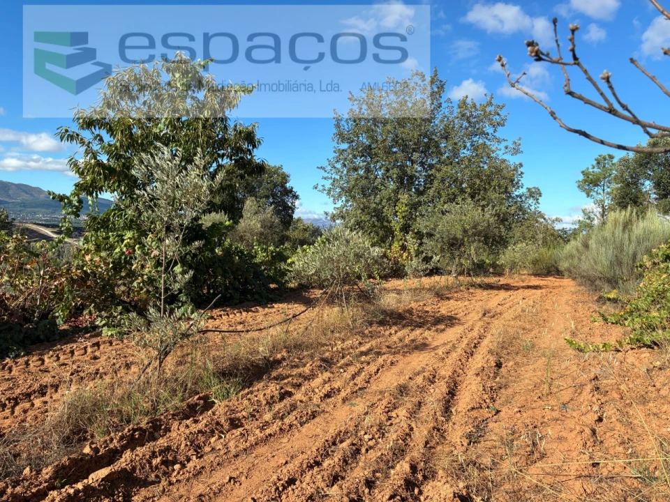 Terreno para Venda em Pero Viseu Foto 22