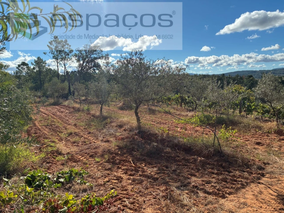 Terreno para Venda em Pero Viseu Foto 23
