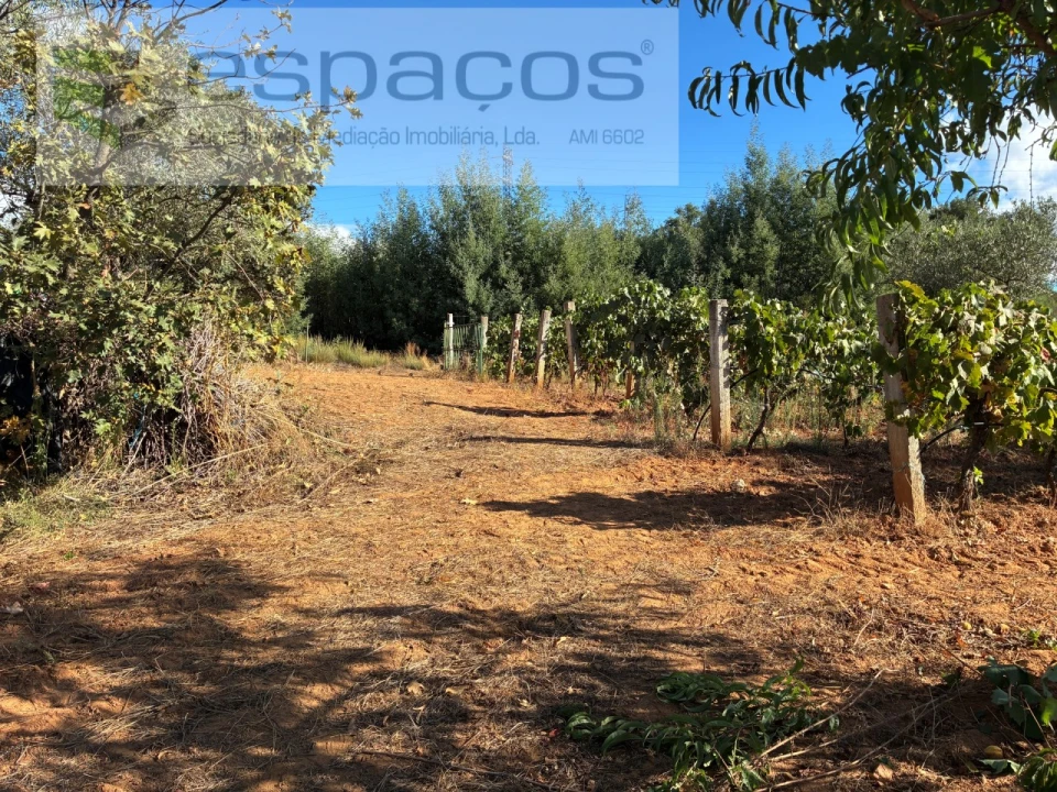 Terreno para Venda em Pero Viseu Foto 21
