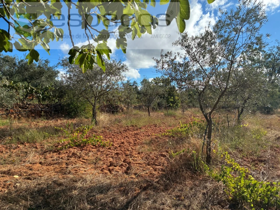 Terreno para Venda em Pero Viseu Foto 25