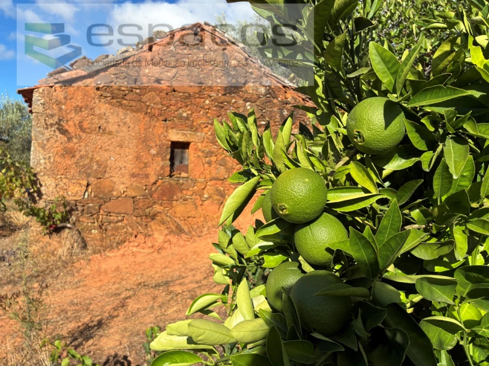 Terreno para Venda em Pero Viseu Foto 33