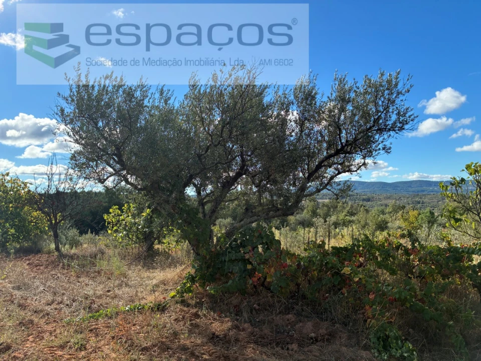 Terreno para Venda em Pero Viseu Foto 26