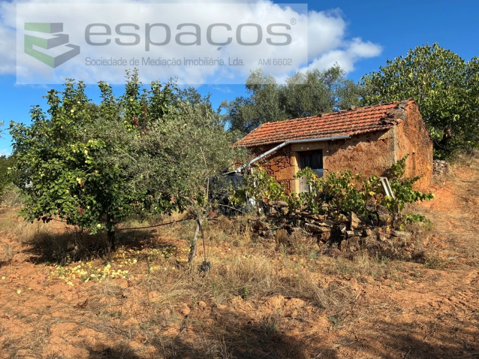 Terreno para Venda em Pero Viseu Foto 42