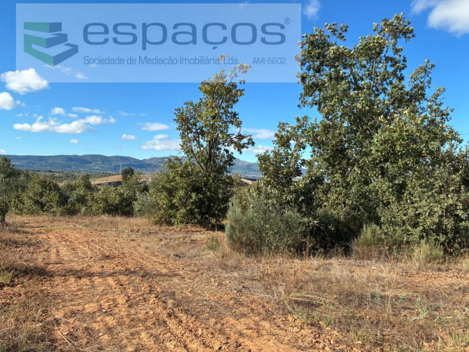 Terreno para Venda em Pero Viseu Foto 45