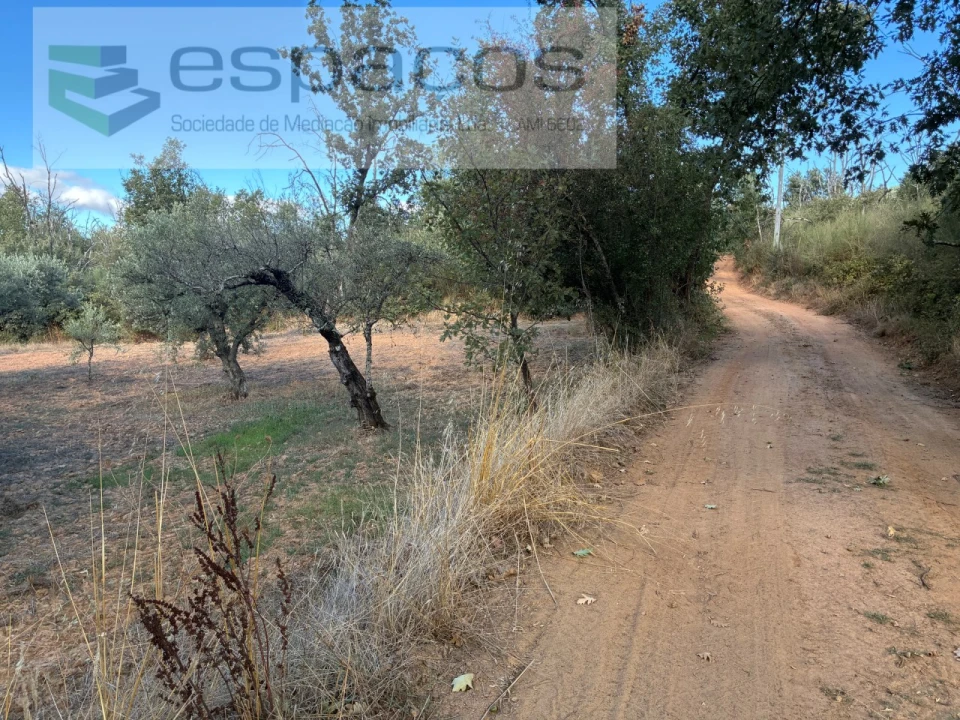 Terreno para Venda em Pero Viseu Foto 29