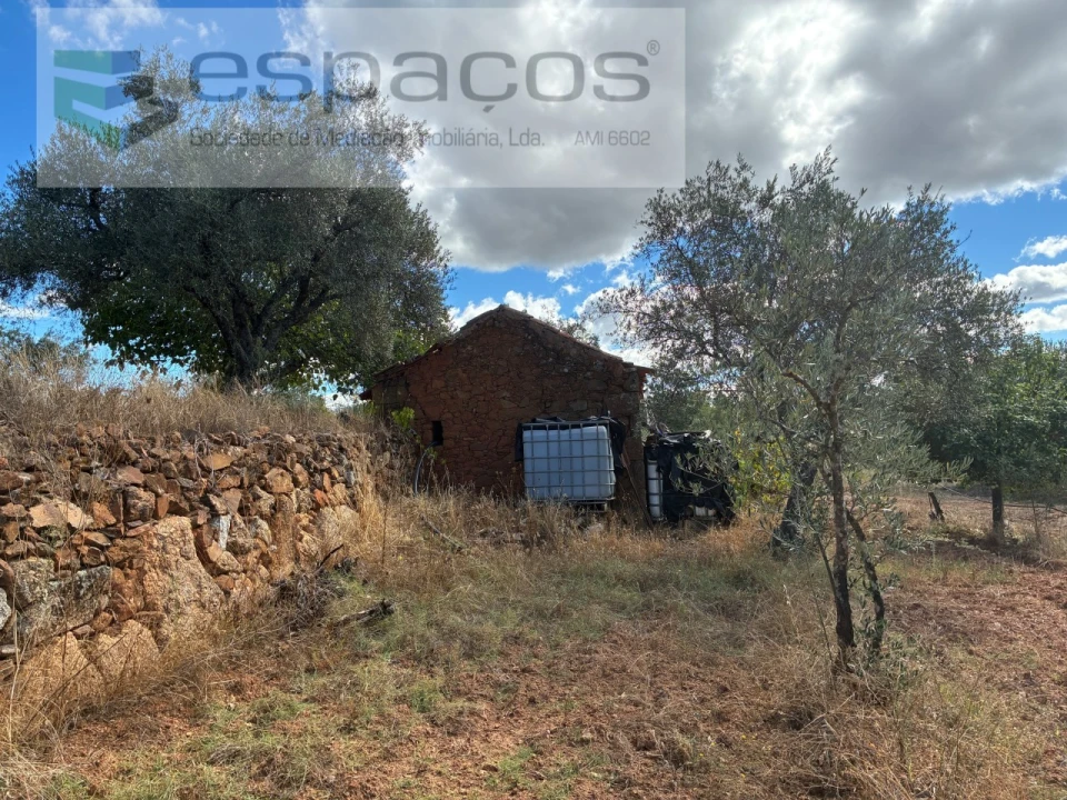 Terreno para Venda em Pero Viseu Foto 41