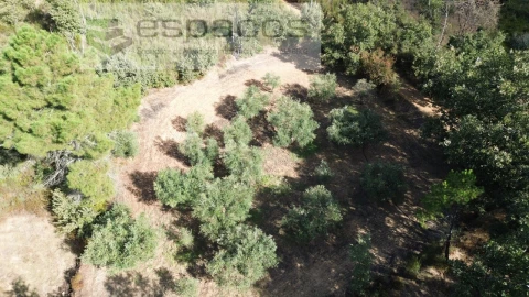 Terreno para Venda em Pero Viseu