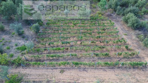 Terreno para Venda em Pero Viseu