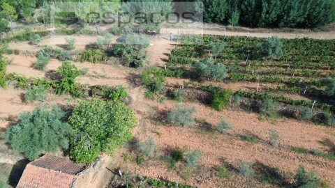 Terreno para Venda em Pero Viseu