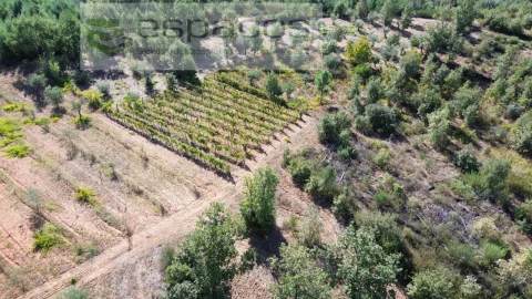 Terreno para Venda em Pero Viseu