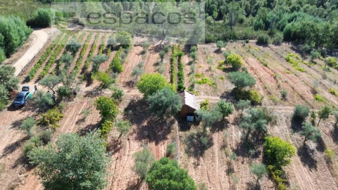 Terreno para Venda em Pero Viseu
