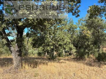 Terreno para Venda em Pero Viseu
