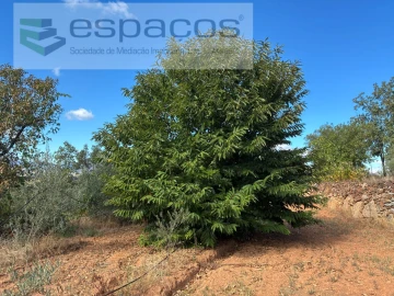 Terreno para Venda em Pero Viseu
