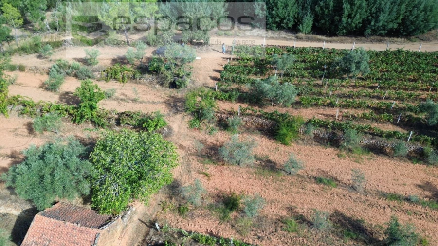 Terreno para Venda em Pero Viseu Foto 4