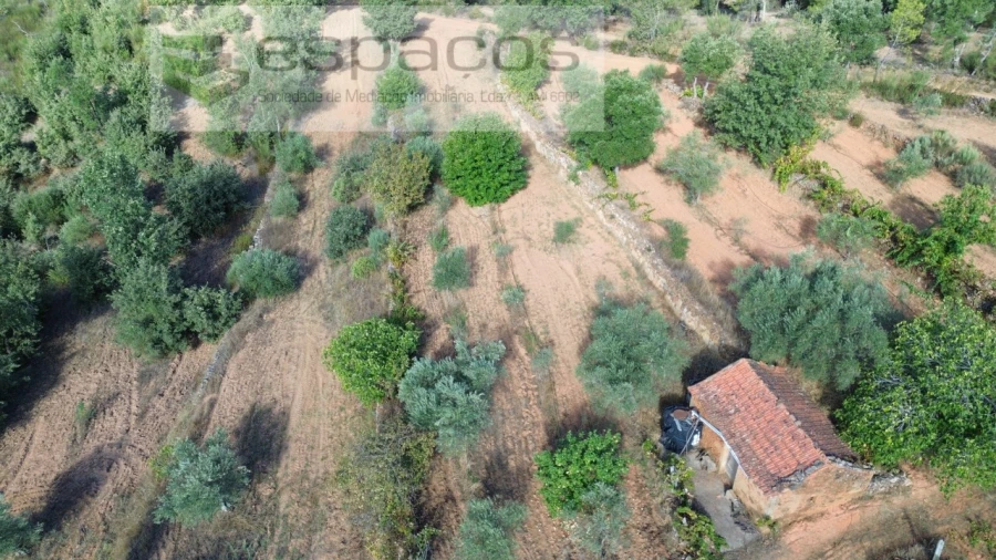 Terreno para Venda em Pero Viseu Foto 13