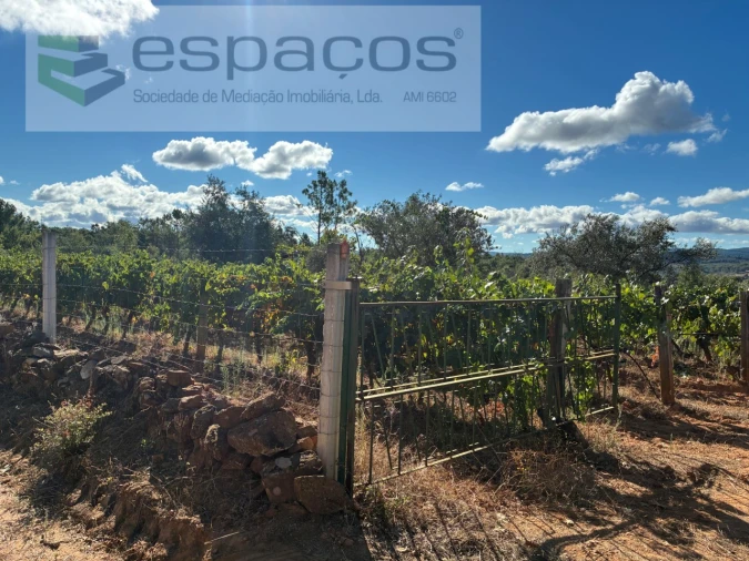 Terreno para Venda em Pero Viseu Foto 18