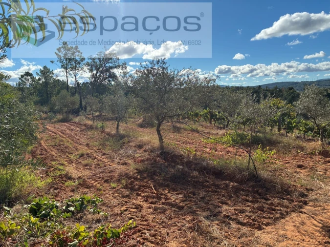 Terreno para Venda em Pero Viseu Foto 23