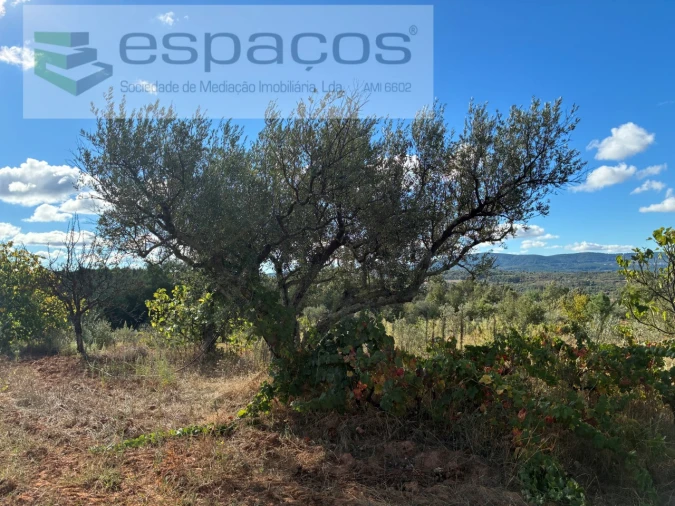 Terreno para Venda em Pero Viseu Foto 26