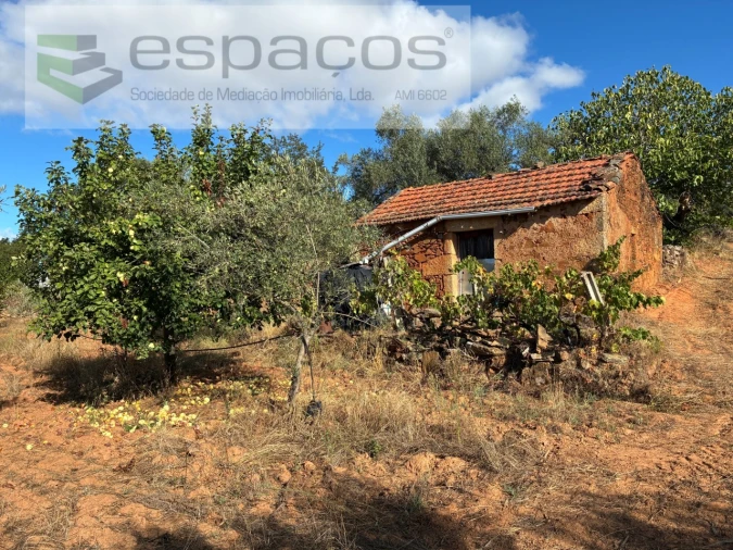 Terreno para Venda em Pero Viseu Foto 42